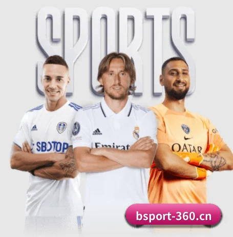 国际化进程(BSPORTS)